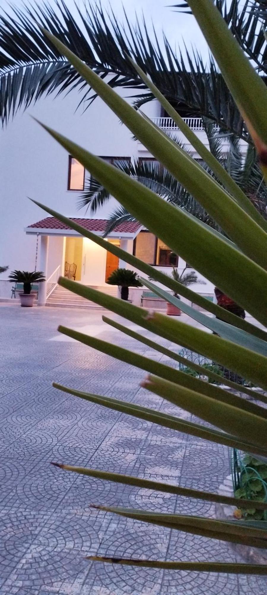 Villa Erry Трани Екстериор снимка
